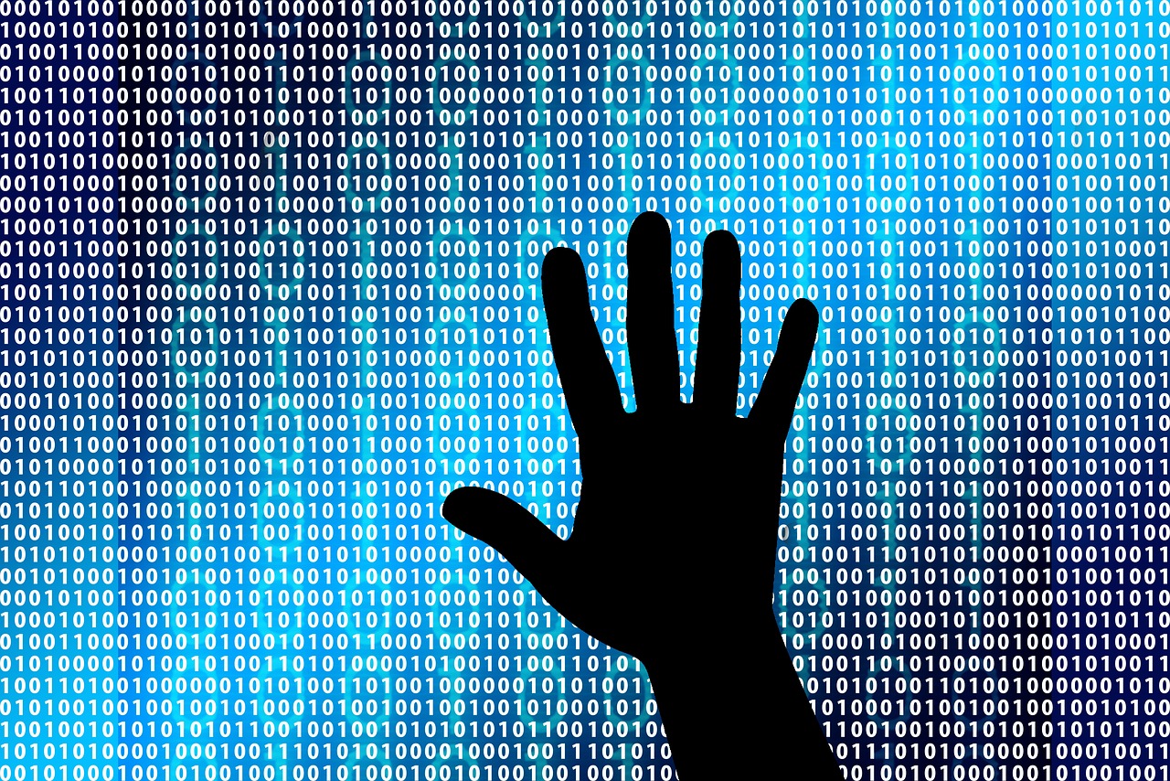 Programmazione - LeCicogne Blog