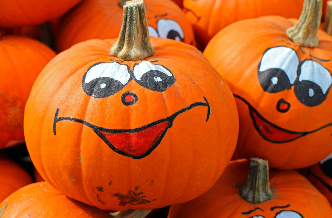 Zucche Halloween Le Cicogne Blog